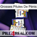 Grosses Pilules De Pénis 12